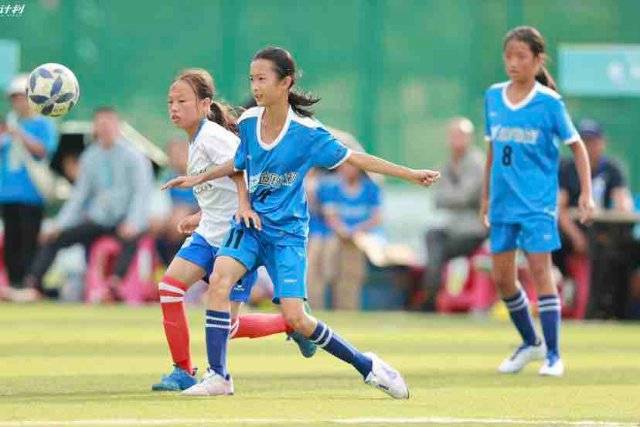 赵继伟25+11张镇麟19分辽宁胜广东 胡明轩21分